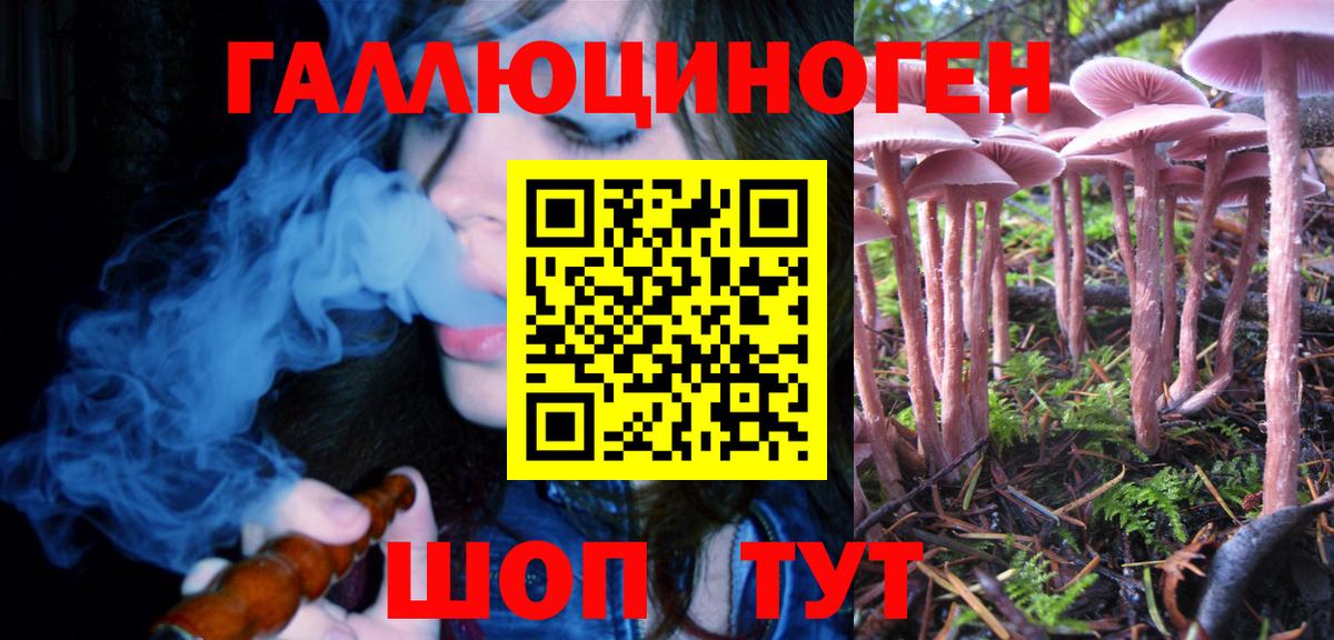 Галлюциногенные грибы Psilocybe  Псилоцибиновые грибы ЛСД  наркошоп  Лесосибирск  Вход с VPN 